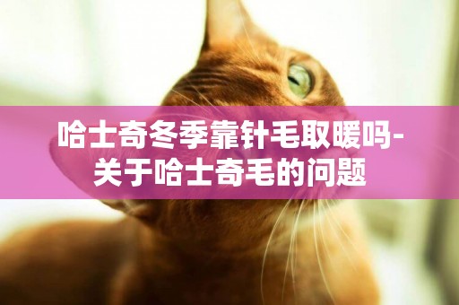 哈士奇冬季靠針毛取暖嗎-關于哈士奇毛的問題