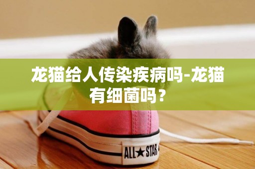 龍貓給人傳染疾病嗎-龍貓有細菌嗎？
