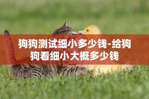 狗狗測試細小多少錢-給狗狗看細小大概多少錢