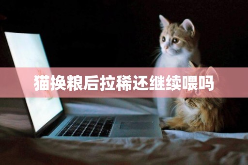 貓換糧后拉稀還繼續喂嗎