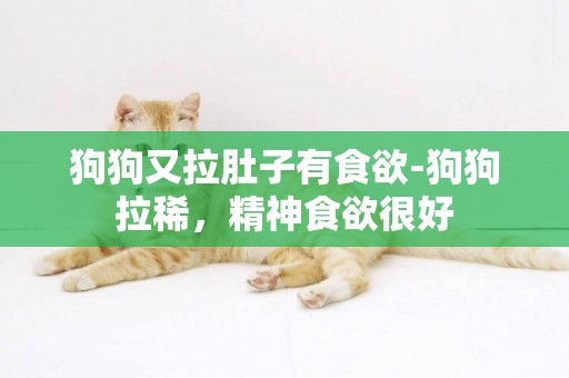 狗狗又拉肚子有食欲-狗狗拉稀，精神食欲很好