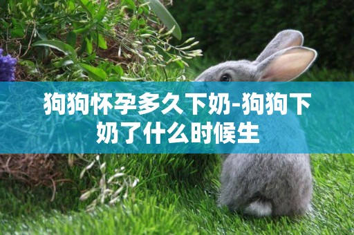 狗狗懷孕多久下奶-狗狗下奶了什么時候生
