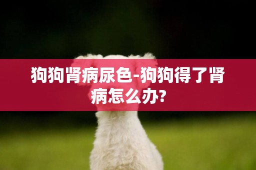 狗狗腎病尿色-狗狗得了腎病怎么辦?