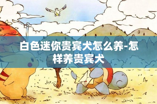 白色迷你貴賓犬怎么養-怎樣養貴賓犬