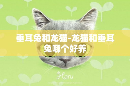 垂耳兔和龍貓-龍貓和垂耳兔哪個好養