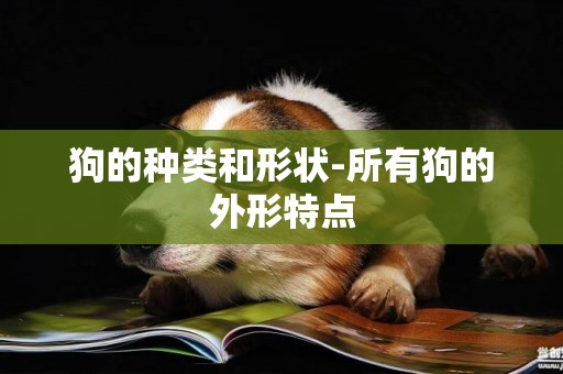 狗的種類和形狀-所有狗的外形特點
