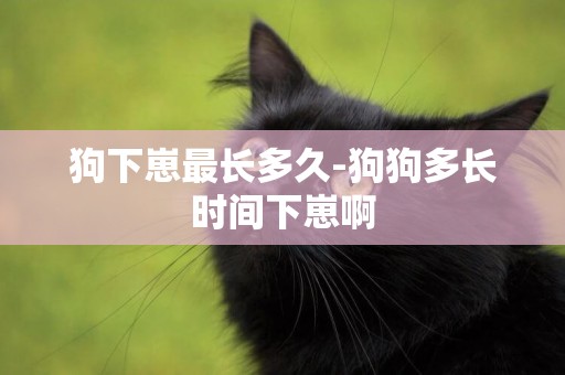 狗下崽最長多久-狗狗多長時間下崽啊