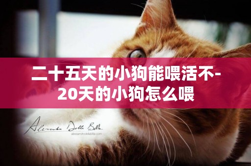二十五天的小狗能喂活不-20天的小狗怎么喂