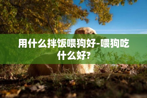 用什么拌飯喂狗好-喂狗吃什么好?