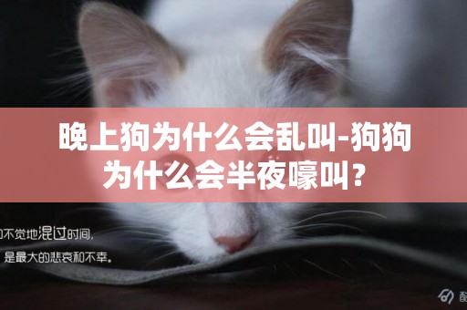晚上狗為什么會亂叫-狗狗為什么會半夜嚎叫？