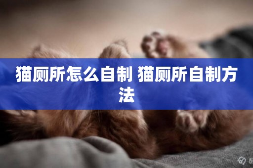 貓廁所怎么自制 貓廁所自制方法
