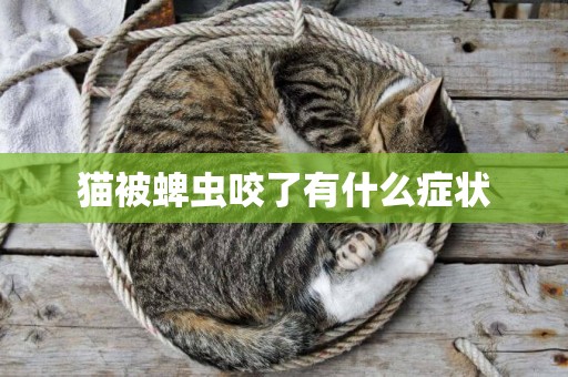 貓被蜱蟲咬了有什么癥狀