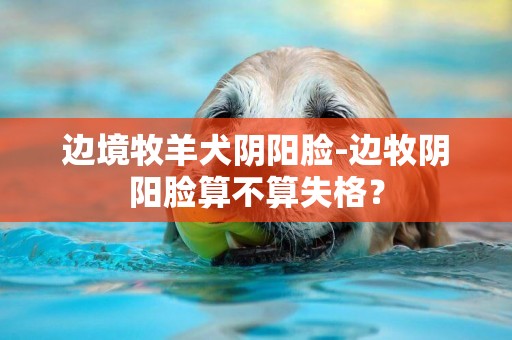 邊境牧羊犬陰陽臉-邊牧陰陽臉算不算失格？