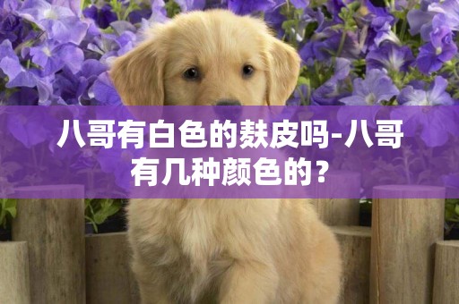 八哥有白色的麩皮嗎-八哥有幾種顏色的？