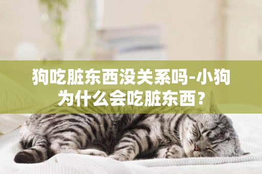 狗吃臟東西沒關系嗎-小狗為什么會吃臟東西？