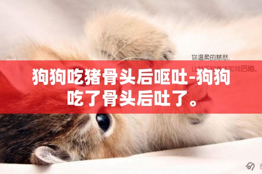 狗狗吃豬骨頭后嘔吐-狗狗吃了骨頭后吐了。