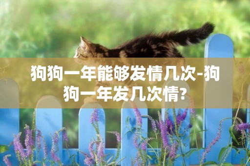 狗狗一年能夠發情幾次-狗狗一年發幾次情?