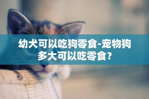 幼犬可以吃狗零食-寵物狗多大可以吃零食？