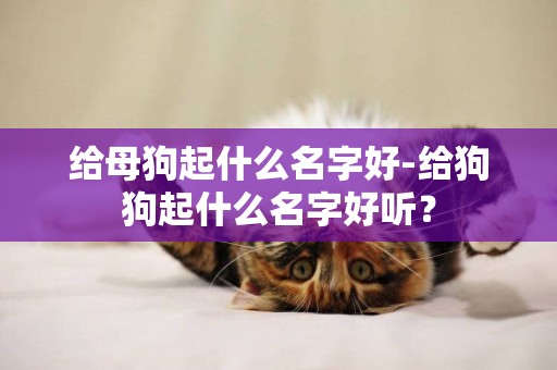 給母狗起什么名字好-給狗狗起什么名字好聽？