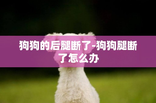 狗狗的后腿斷了-狗狗腿斷了怎么辦