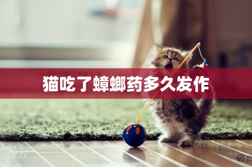 貓吃了蟑螂藥多久發作