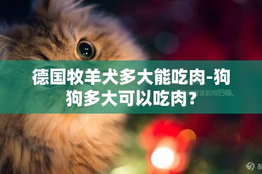 德國牧羊犬多大能吃肉-狗狗多大可以吃肉？