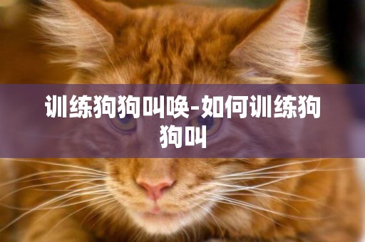 訓練狗狗叫喚-如何訓練狗狗叫