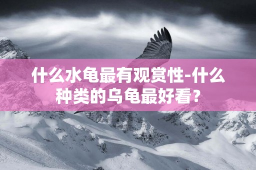 什么水龜最有觀賞性-什么種類的烏龜最好看？
