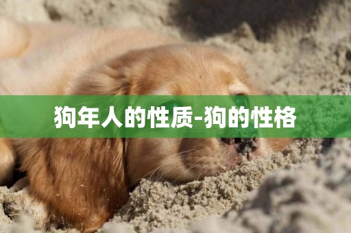 狗年人的性質-狗的性格
