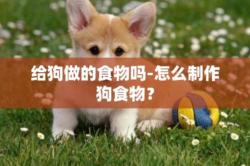 給狗做的食物嗎-怎么制作狗食物？
