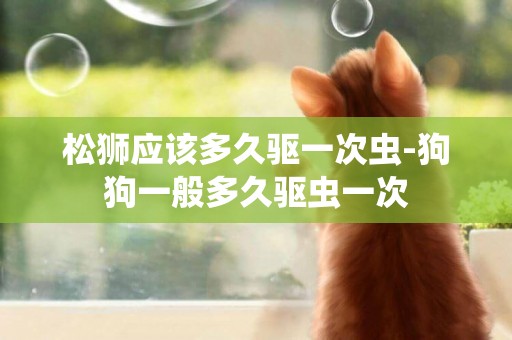 松獅應該多久驅一次蟲-狗狗一般多久驅蟲一次