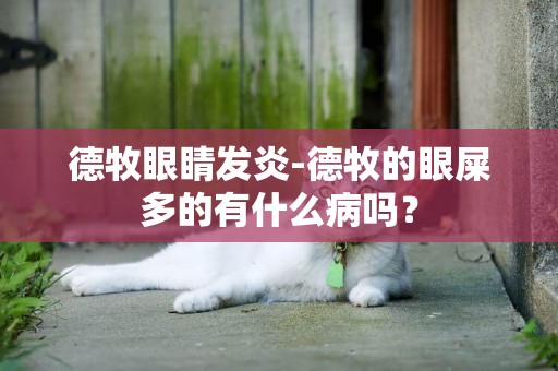 德牧眼睛發炎-德牧的眼屎多的有什么病嗎？