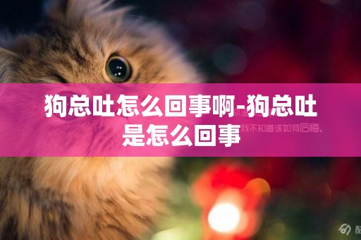 狗總吐怎么回事啊-狗總吐是怎么回事
