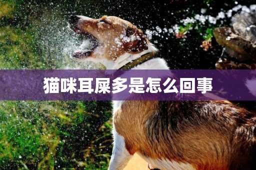 貓咪耳屎多是怎么回事