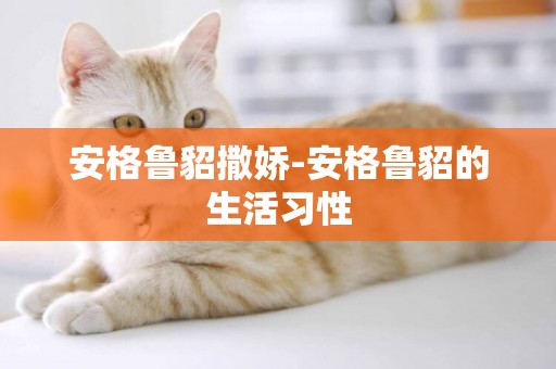 安格魯貂撒嬌-安格魯貂的生活習性
