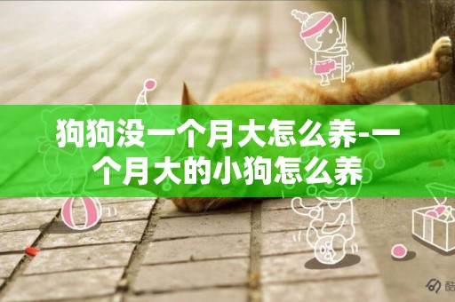 狗狗沒一個月大怎么養-一個月大的小狗怎么養