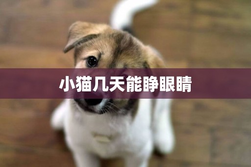 小貓幾天能睜眼睛