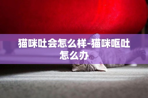 貓咪吐會怎么樣-貓咪嘔吐怎么辦