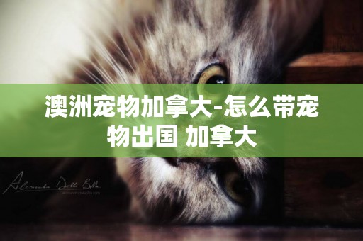 澳洲寵物加拿大-怎么帶寵物出國 加拿大