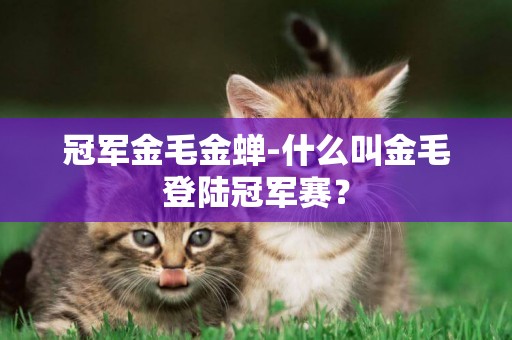 冠軍金毛金蟬-什么叫金毛登陸冠軍賽？