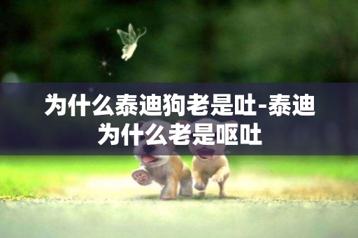 為什么泰迪狗老是吐-泰迪為什么老是嘔吐