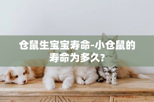 倉鼠生寶寶壽命-小倉鼠的壽命為多久?