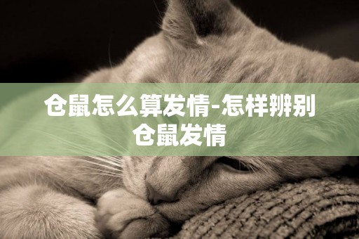 倉鼠怎么算發情-怎樣辨別倉鼠發情