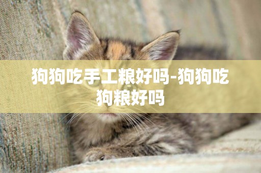 狗狗吃手工糧好嗎-狗狗吃狗糧好嗎