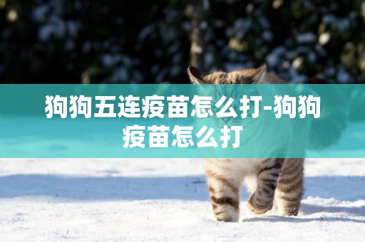 狗狗五連疫苗怎么打-狗狗疫苗怎么打