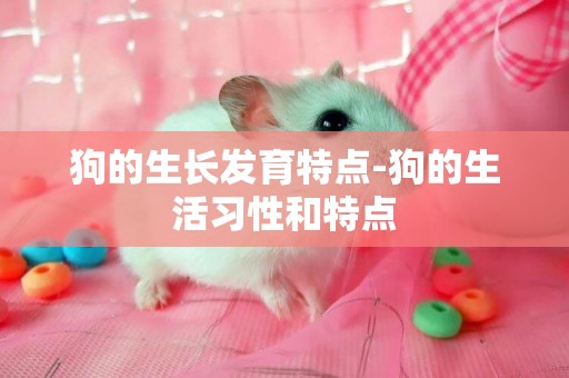 狗的生長發育特點-狗的生活習性和特點