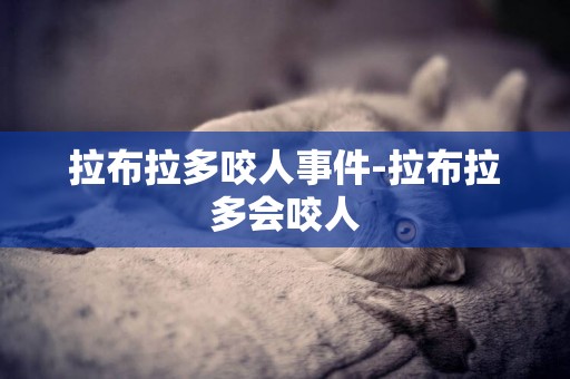 拉布拉多咬人事件-拉布拉多會咬人