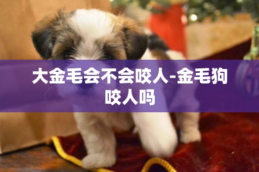 大金毛會不會咬人-金毛狗咬人嗎