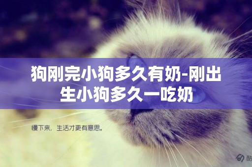 狗剛完小狗多久有奶-剛出生小狗多久一吃奶