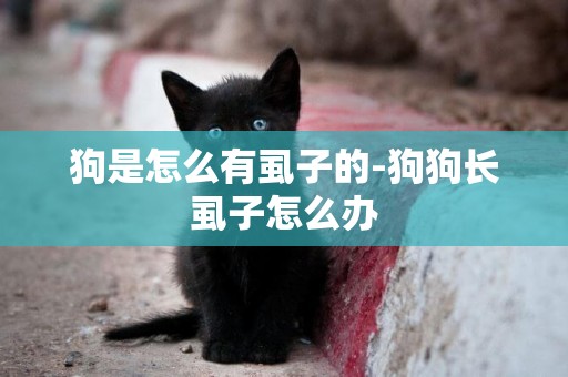 狗是怎么有虱子的-狗狗長虱子怎么辦